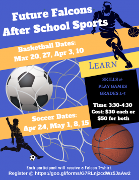 Future Falcons After School Sports Flyer